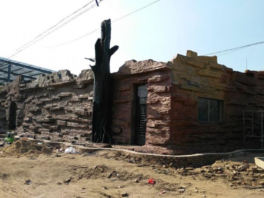 點擊查看詳細信息<br>標題：假房子 閱讀次數：1425