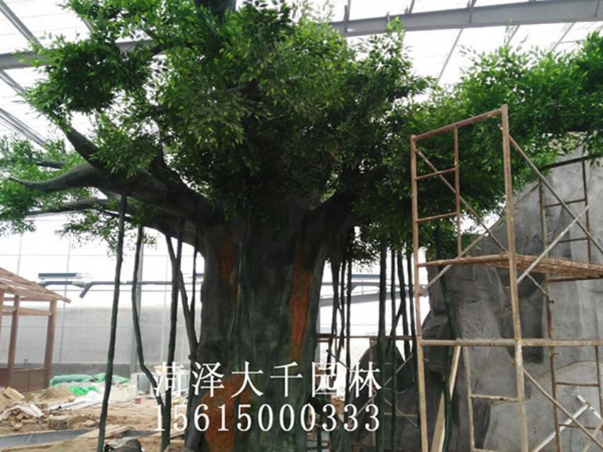 點擊查看詳細信息<br>標題：假樹 閱讀次數：1549