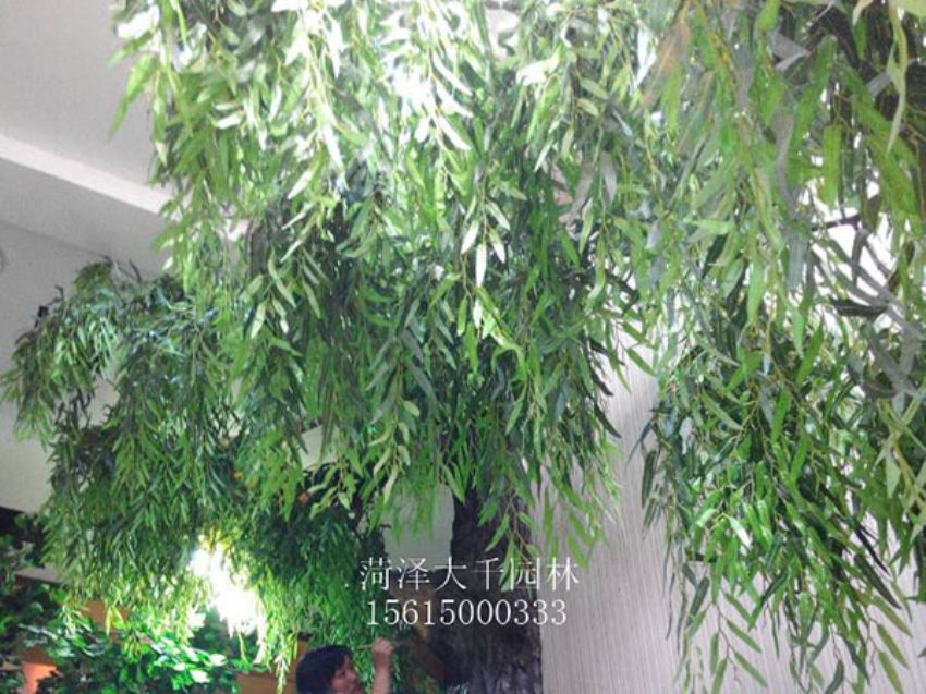 點擊查看詳細信息<br>標題：假樹 閱讀次數：1478