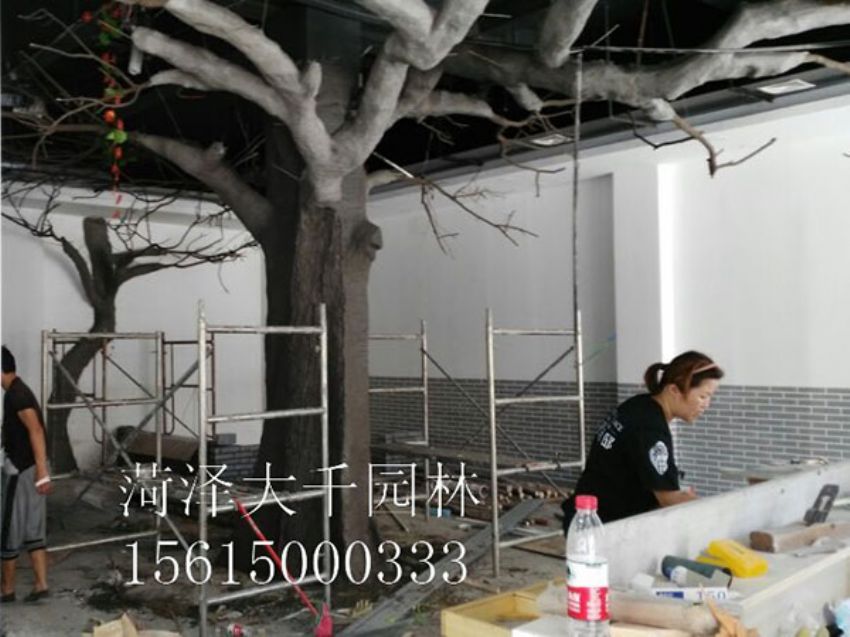 點擊查看詳細信息<br>標題：假樹 閱讀次數(shù)：1482