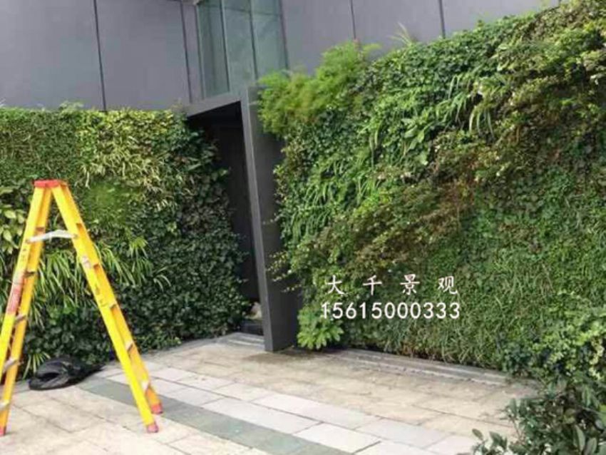 點擊查看詳細信息<br>標題：綠植墻 閱讀次數：1632