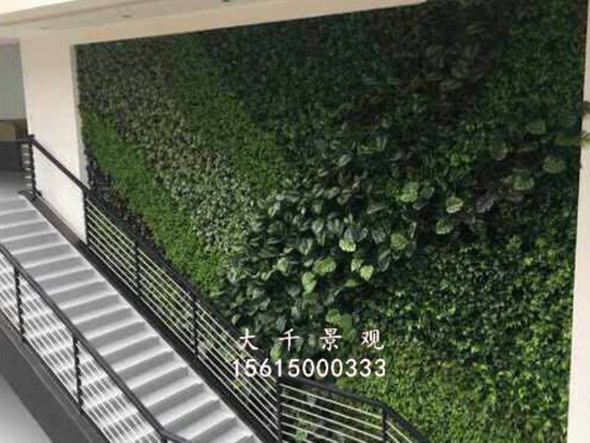 點擊查看詳細信息<br>標題：綠植墻 閱讀次數：1789