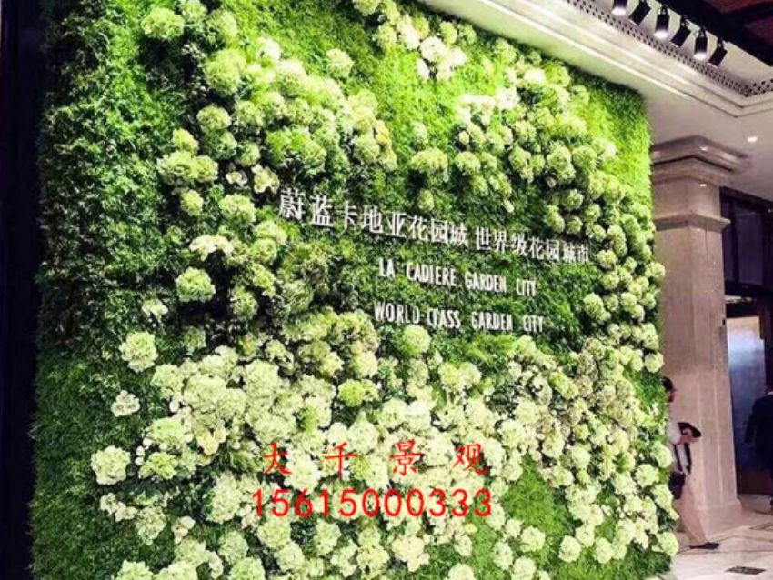 點(diǎn)擊查看詳細(xì)信息<br>標(biāo)題：綠植墻 閱讀次數(shù)：2205