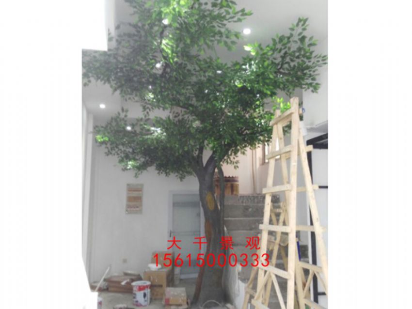 點擊查看詳細信息<br>標題：瓷磚磁瓦 閱讀次數：2461